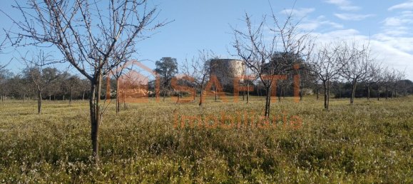Casa de 8 dormitorios en Pinhel, Portugal No. 79687 22