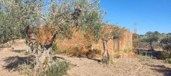 Casa de 8 dormitorios en Pinhel, Portugal No. 79687 45