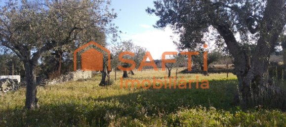 Casa de 8 dormitorios en Pinhel, Portugal No. 79687 19