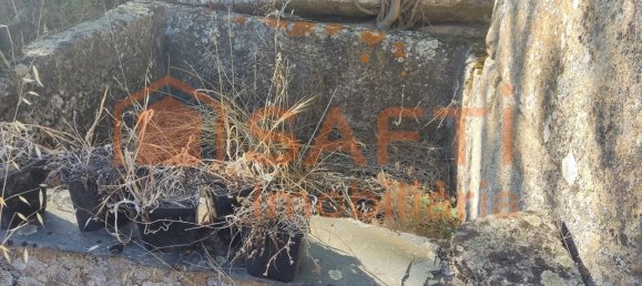 Casa de 8 dormitorios en Pinhel, Portugal No. 79687 47