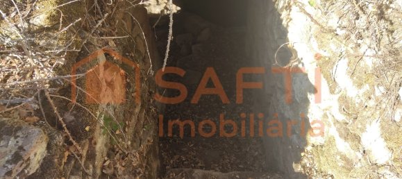 Casa de 8 dormitorios en Pinhel, Portugal No. 79687 32