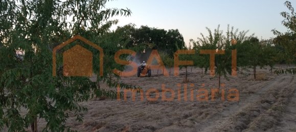 Casa de 8 dormitorios en Pinhel, Portugal No. 79687 30