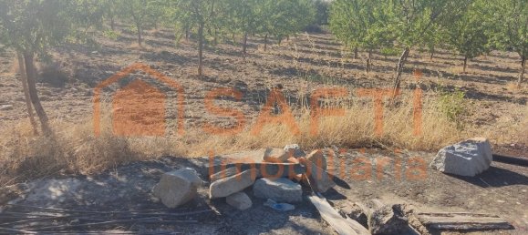 Casa de 8 dormitorios en Pinhel, Portugal No. 79687 50