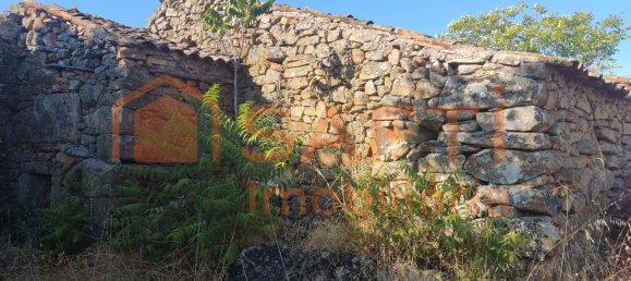 Casa de 8 dormitorios en Pinhel, Portugal No. 79687 46