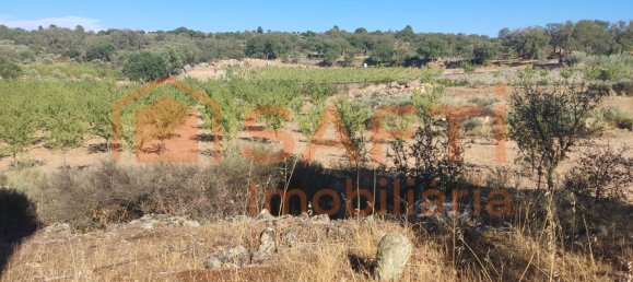 Casa de 8 dormitorios en Pinhel, Portugal No. 79687 48