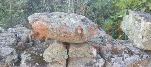 Casa de 8 dormitorios en Pinhel, Portugal No. 79687 43