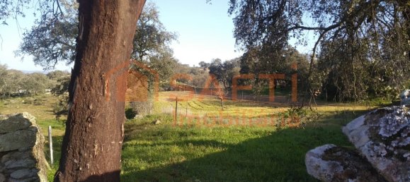 Casa de 8 dormitorios en Pinhel, Portugal No. 79687 24