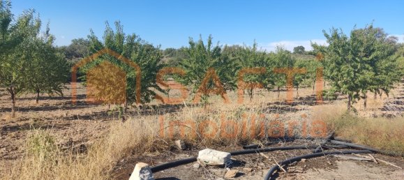 Casa de 8 dormitorios en Pinhel, Portugal No. 79687 49