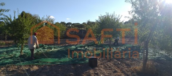 Casa de 8 dormitorios en Pinhel, Portugal No. 79687 25