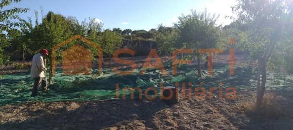 Casa de 8 dormitorios en Pinhel, Portugal No. 79687 27