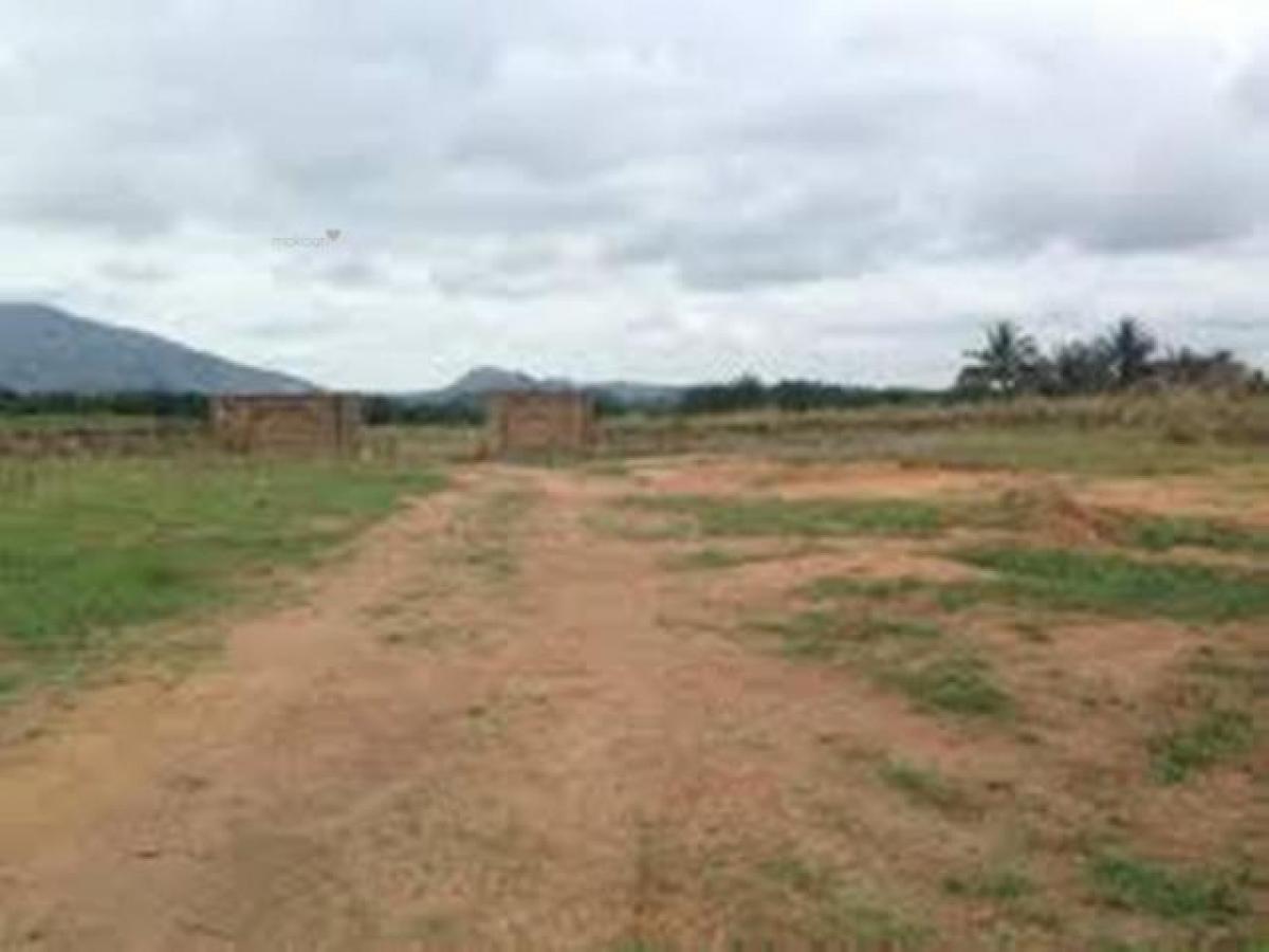  Land in Bangalore, India No. 30638
