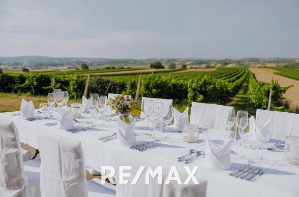 Gewerbliche Immobilie in Mistelbach, Austria 362m², Nr. 209500