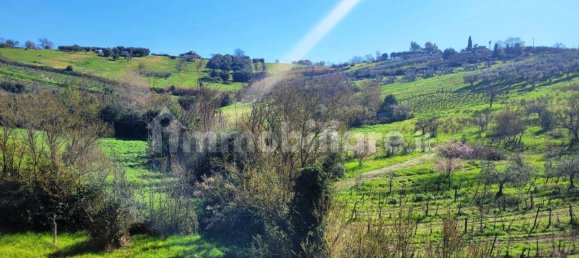 2 Schlafzimmer Wohnung in Monterotondo, Italy, Nr. 230208 4