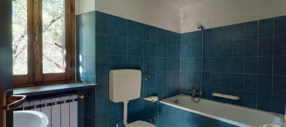 1 bedroom House in Fabbriche di Vergemoli, Italy No. 233361 16