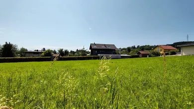  Land in Ampflwang im Hausruckwald, Austria No. 208093