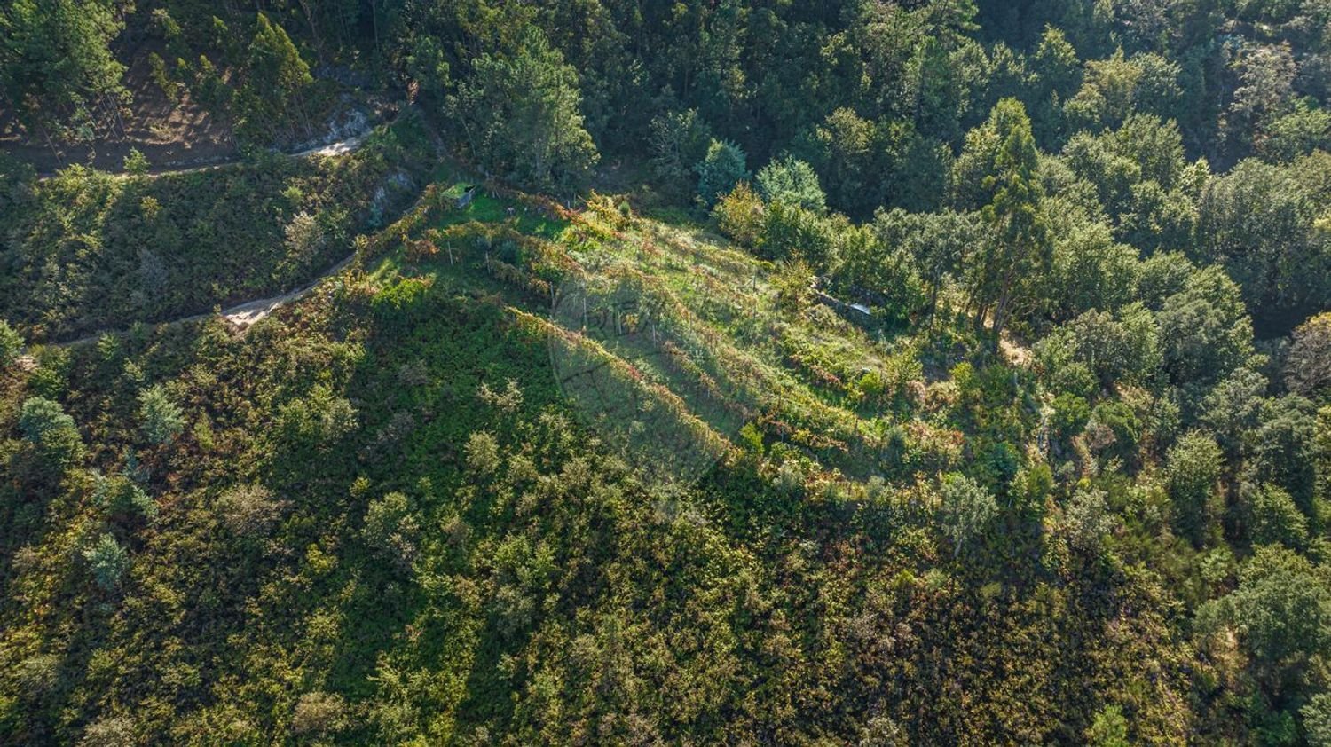 Terreno em Louredo, Portugal 2120 m² N.º 55072