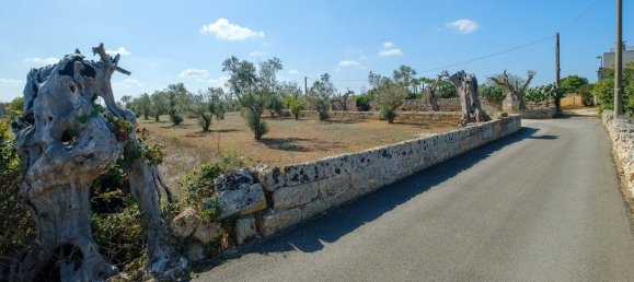 4 Schlafzimmer Villa in Sannicola, Italy, Nr. 231380 30