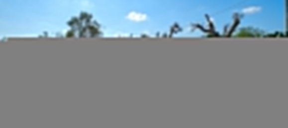 4 Schlafzimmer Villa in Sannicola, Italy, Nr. 231380 26