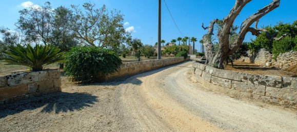 4 Schlafzimmer Villa in Sannicola, Italy, Nr. 231380 25