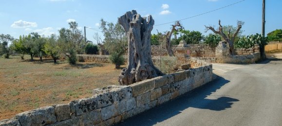 4 Schlafzimmer Villa in Sannicola, Italy, Nr. 231380 31