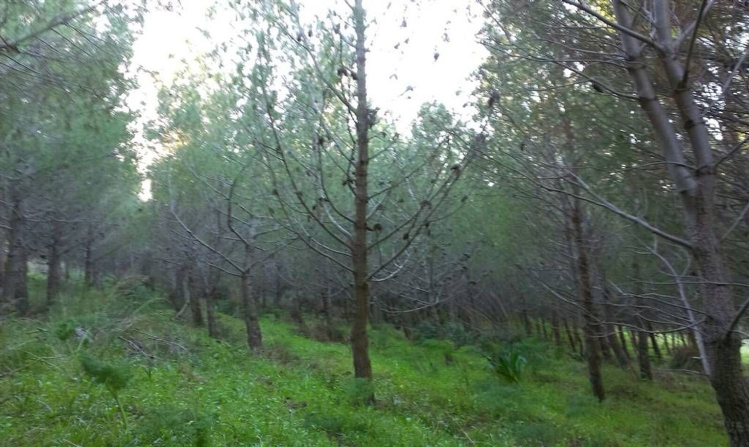  Land in Sciacca, Italy No. 403792