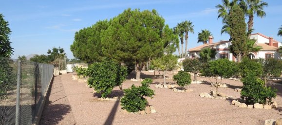 4 bedrooms House in Daya Vieja, Spain No. 185214 6