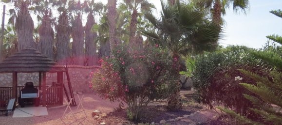 4 bedrooms House in Daya Vieja, Spain No. 185214 28