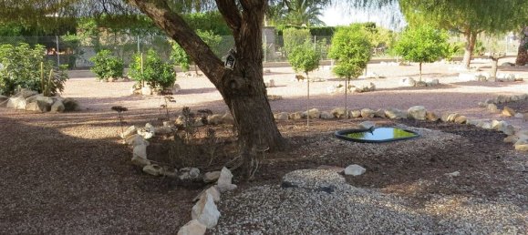 4 bedrooms House in Daya Vieja, Spain No. 185214 4