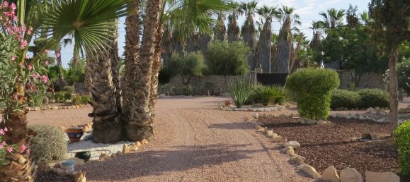 4 bedrooms House in Daya Vieja, Spain No. 185214 9