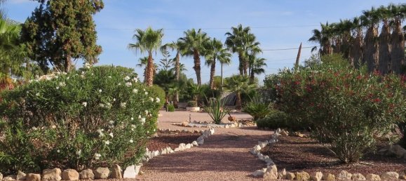 4 bedrooms House in Daya Vieja, Spain No. 185214 7