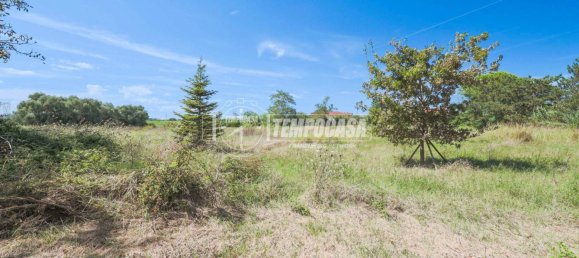 1 bedroom House in Misano Adriatico, Italy No. 377108 13