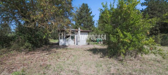 1 bedroom House in Misano Adriatico, Italy No. 377108 21