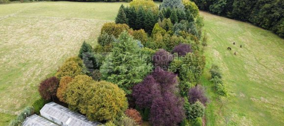 Земельный участок в Рейн-Зиг, Германия № 370253 4