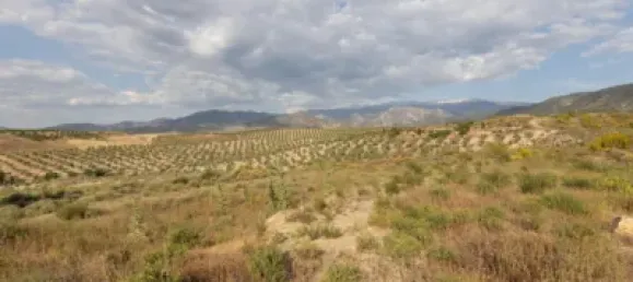  قطعة أرض في Granada, Spain رقم 181267 7