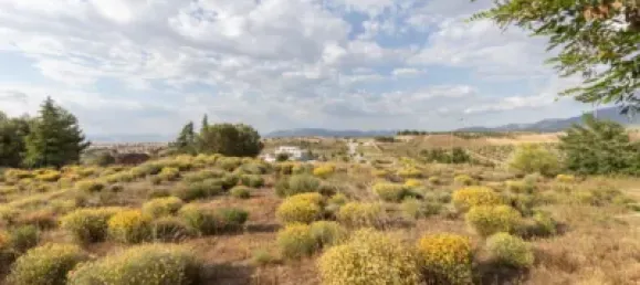  قطعة أرض في Granada, Spain رقم 181267 5