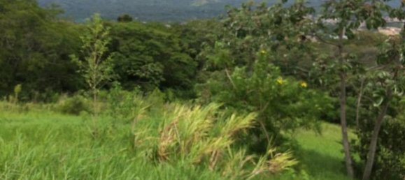 Grundstück in San Jose, Costa Rica, Nr. 1842 6