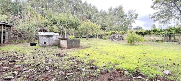 6 bedrooms House in O Pino, Spain No. 49697 30