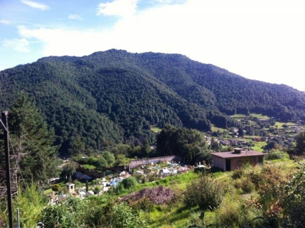  Land in Mexico No. 203767