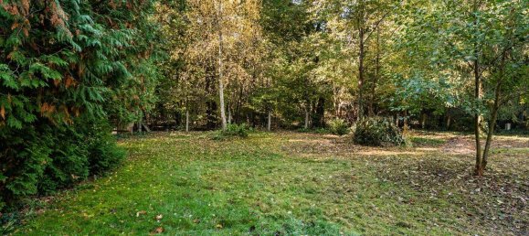  Land in Schmockwitz, Germany No. 95924 3