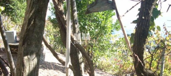 Дом с 1 спальней в Байан, Португалия № 78862 10