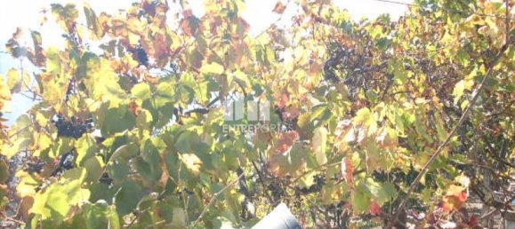 Дом с 1 спальней в Байан, Португалия № 78862 6