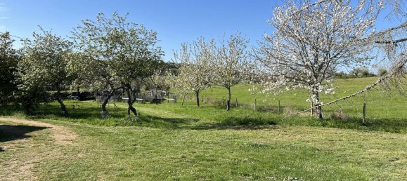 4 Schlafzimmer Haus in Lot, France, Nr. 338690 15