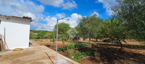 2 bedrooms House in Ceglie Messapica, Italy No. 289573 19