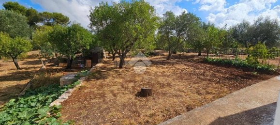 2 bedrooms House in Ceglie Messapica, Italy No. 289573 20