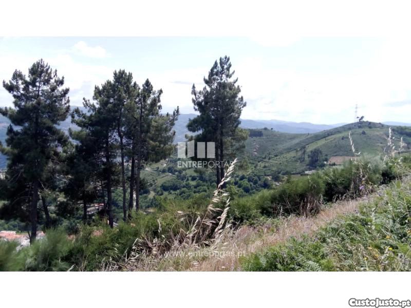 Terreno en Santa Marinha do Zezere, Portugal 6000 m² No. 56176