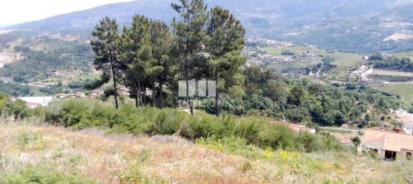 Terreno en Santa Marinha do Zezere, Portugal 6000 m² No. 56176 5