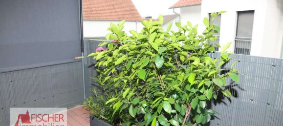 1 bedroom Apartment in Karlsruhe, Germany No. 20332 7