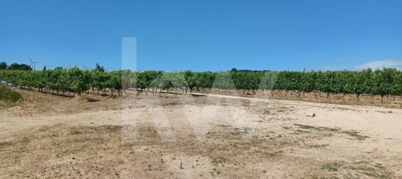 4 غرف نوم قلاع في Torres Vedras, Portugal رقم 90752 11