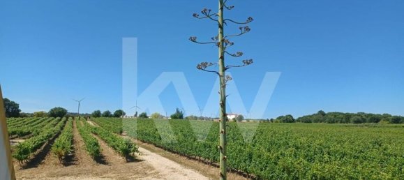 4 غرف نوم قلاع في Torres Vedras, Portugal رقم 90752 12