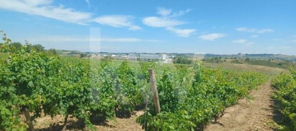 4 غرف نوم قلاع في Torres Vedras, Portugal رقم 90752 2